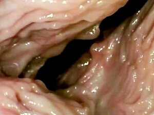 Como Faz Sexo Olhar De Dentro! Vagina Close-up. Porn